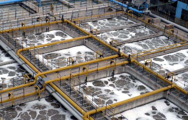 生物處理技術(shù)